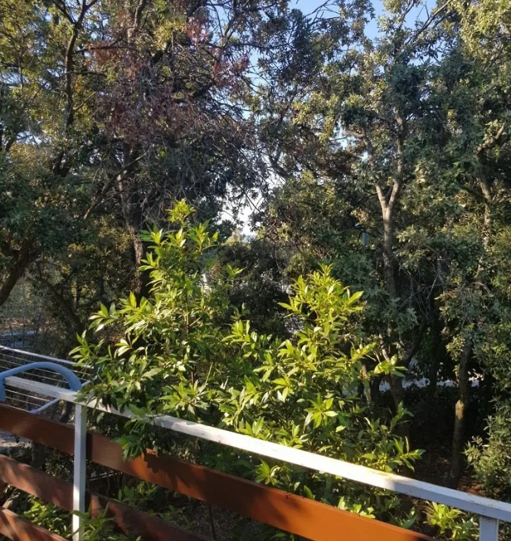 Apartments Maja Biograd Na Moru Croatia
